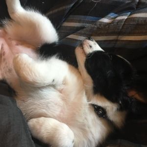 Meet your Posher, Luke